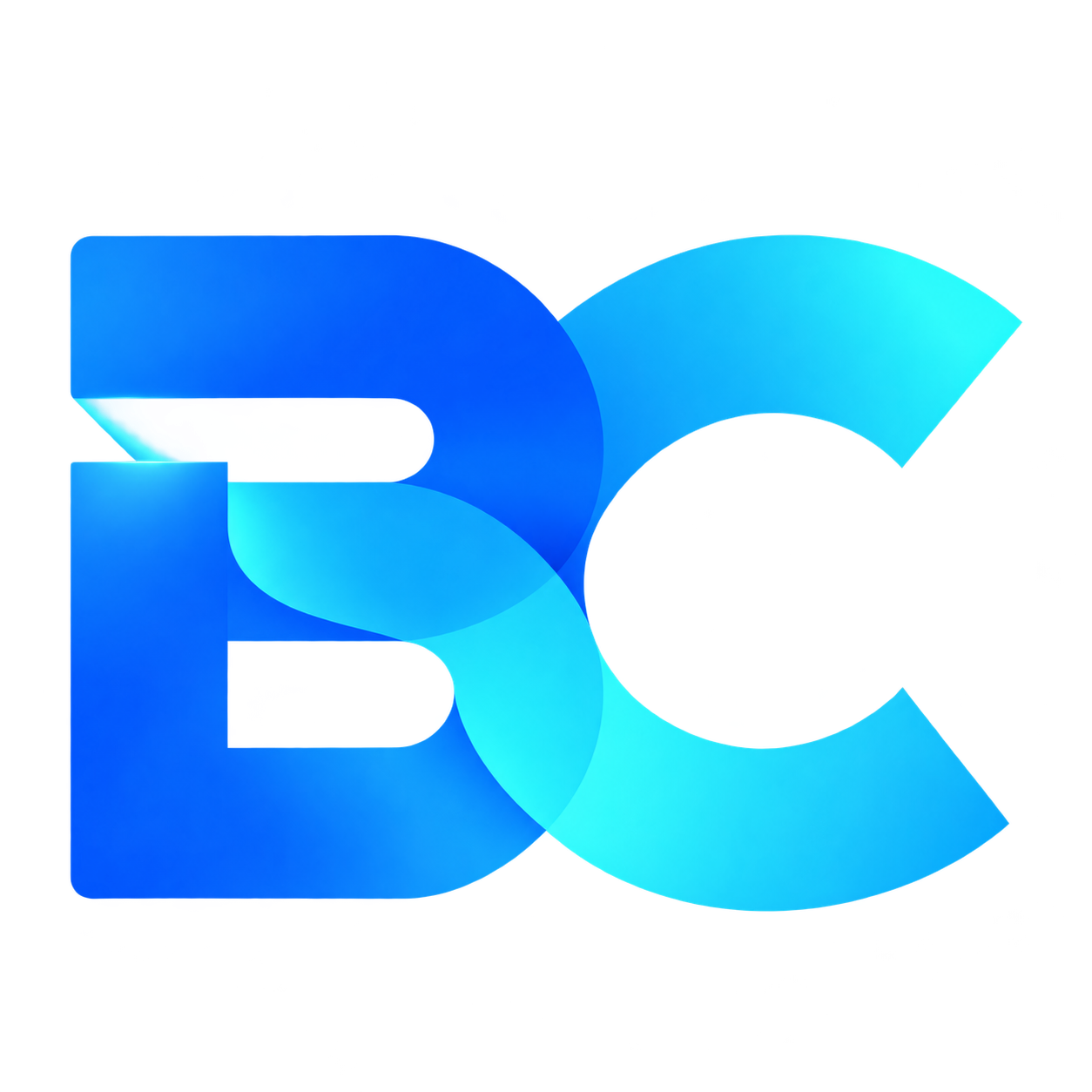 BayarCrypto